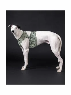 Koiran Vaatteet|PAIKKA Cool Vest Green Leo