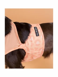 Koiran Vaatteet|PAIKKA Cool Vest Peach