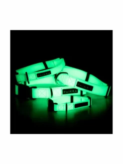 Kaulapannat Ja Talutushihnat|PAIKKA Glow Collar Pale Pink