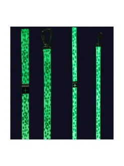 Kaulapannat Ja Talutushihnat|PAIKKA Glow Leash 2.0 WHITE