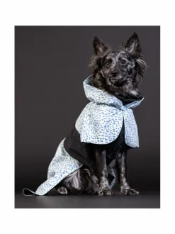 Koiran Vaatteet|PAIKKA Raincoat 2.0 Baby Blue