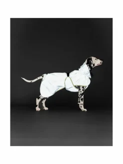 Koiran Vaatteet|PAIKKA Reflective Shell Jacket Matcha