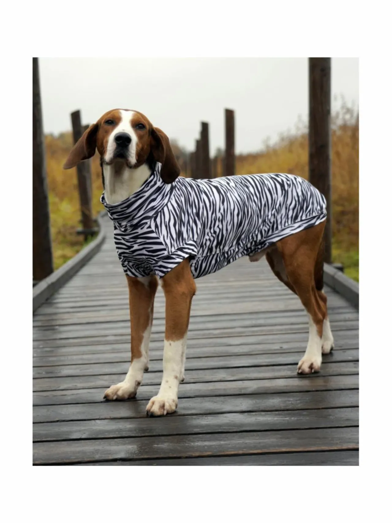 Koiran Vaatteet|PAIKKA SS25 UV & Bug Shirt