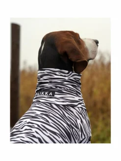 Koiran Vaatteet|PAIKKA SS25 UV & Bug Shirt