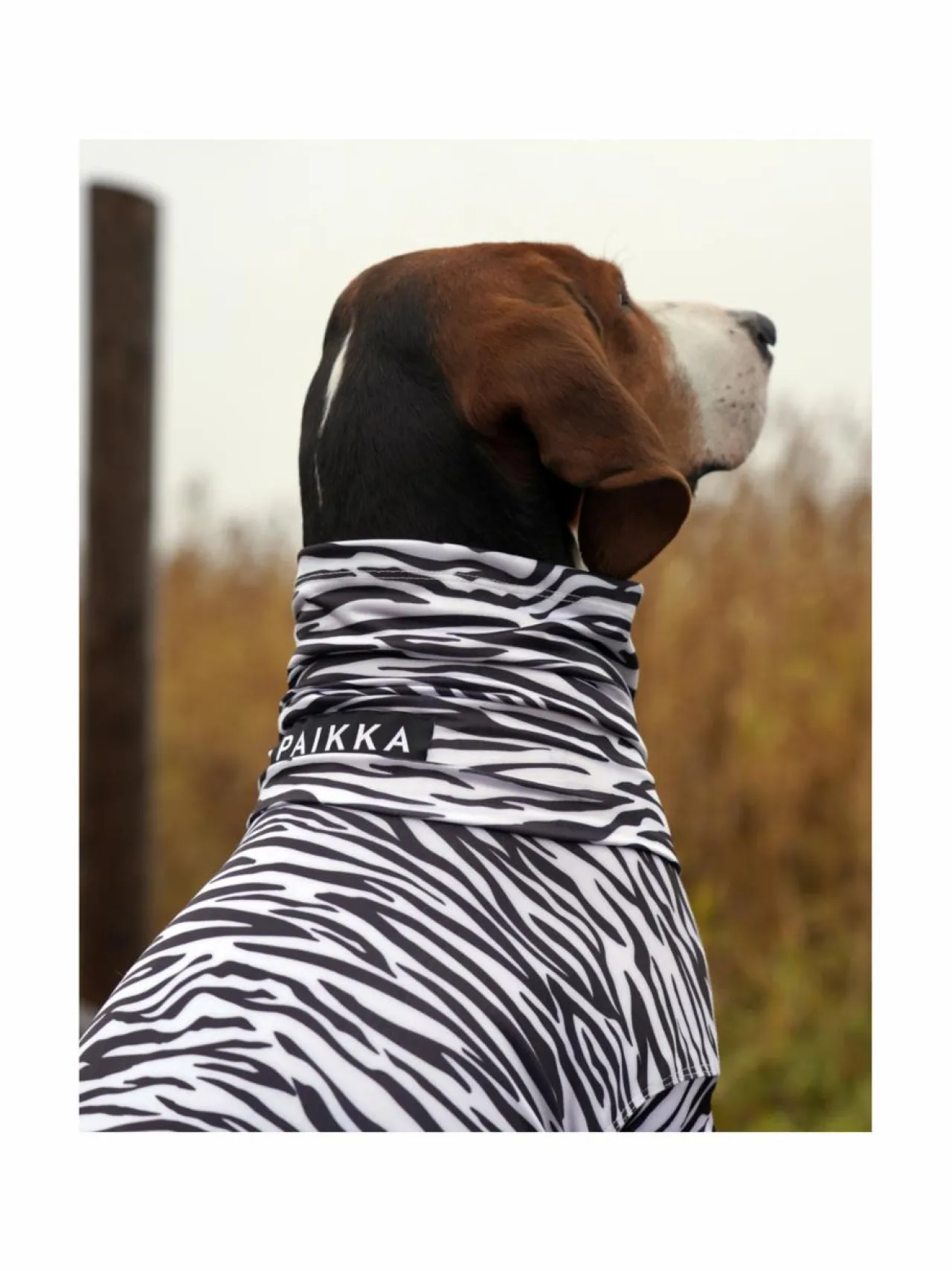 Koiran Vaatteet|PAIKKA SS25 UV & Bug Shirt