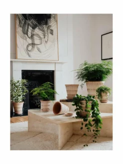 Ruukut & Istutusastiat|Bergs Potter Pantheon Raw -ruukku Ø 14 cm ROSA