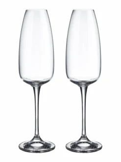 Lasit|Balmuir Piemonte-kuohuviinilasi 290 ml, 2 kpl