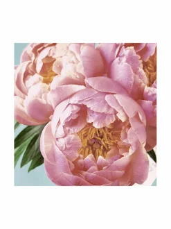 Keittiö- & Kattaustekstiilit|Paper+Design Peony -servetit 24 cm, 20 kpl PINK