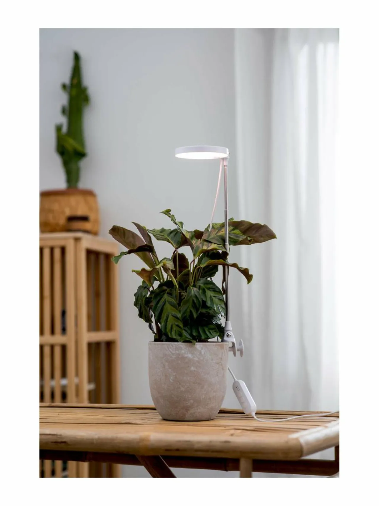 Lamput|Airam Plant Light Rose - kasvivalaisin 10W/735 290 lm USB WHITE
