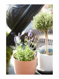 Ruukut & Istutusastiat|Point Virgule Point-ruukku 18 x 15.8 cm TERRACOTTA