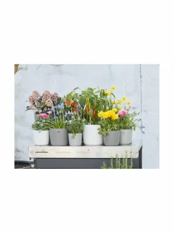 Ruukut & Istutusastiat|Point Virgule Point-ruukku 15.5 x 13.6 cm LIGHT GREY