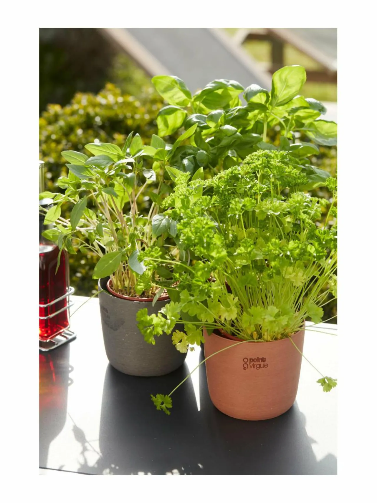 Ruukut & Istutusastiat|Point Virgule Point-ruukku 15.5 x 13.6 cm TERRACOTTA