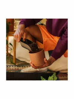 Työkalut|Fiskars Potting & Planting -multakauha BLACK