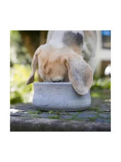 Ruokakupit Ja -Tarvikkeet|Laboni Rocky vuolukivi design ruokakulho - Tuplapakkaus