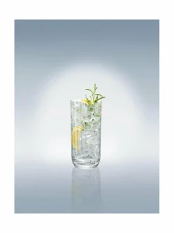 Lasit|Villeroy & Boch Rose Garden Long Drink -juomalasi 4 kpl TRANSPARENT