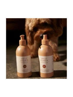 Hoitotuotteet Ja -Tarvikkeet|nocat studio Shampoo ja hoitosuihke tuplapakkaus - LUFT