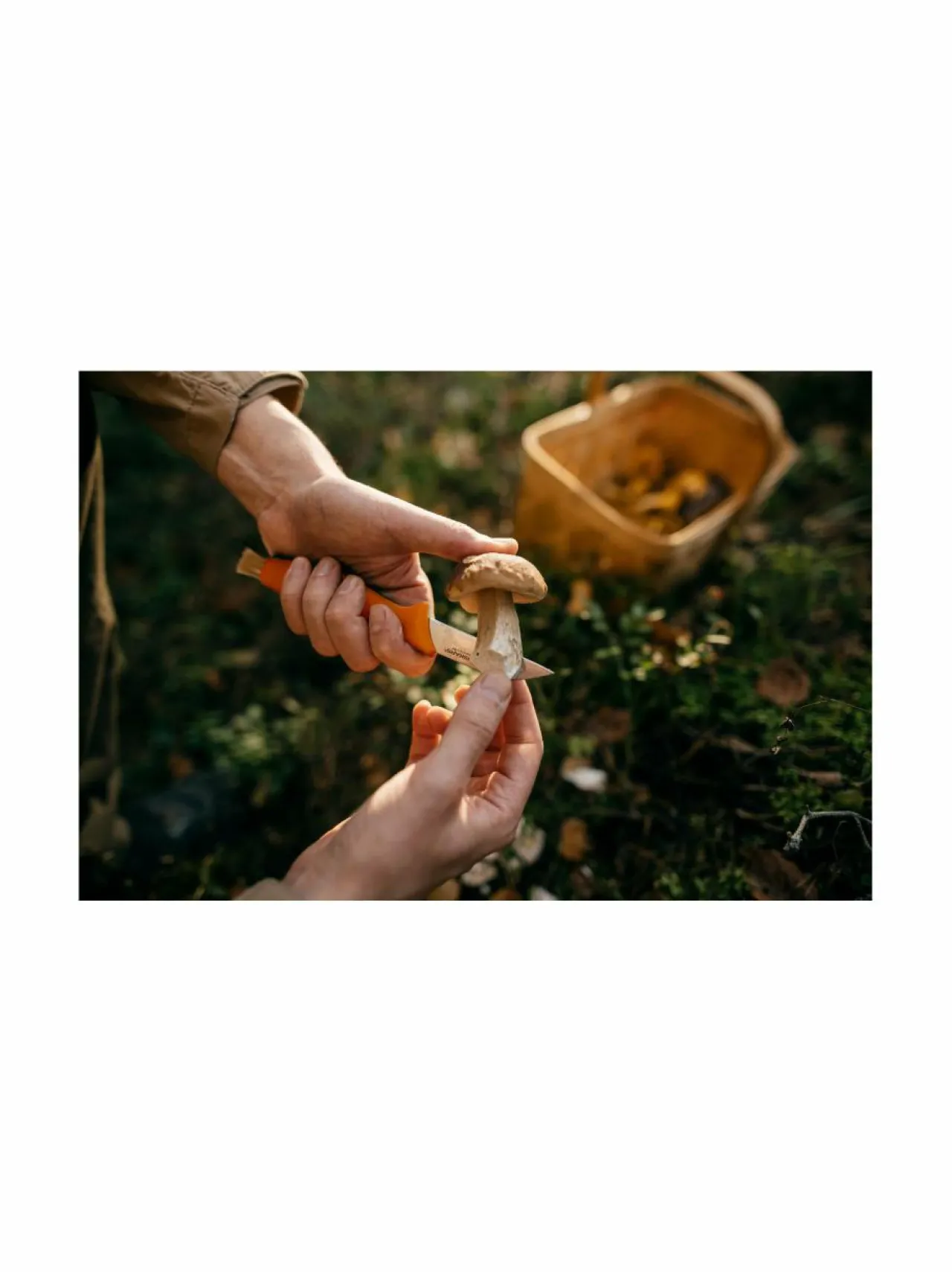 Keittiötarvikkeet|Fiskars Sieniveitsi 21 cm ORANGE