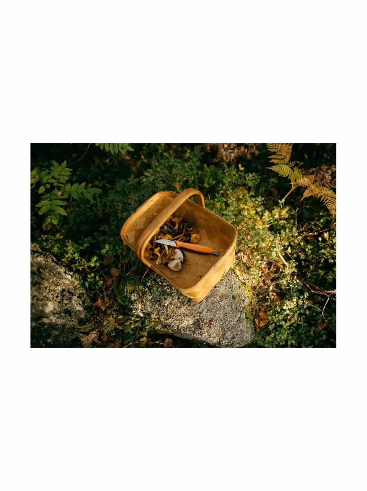 Keittiötarvikkeet|Fiskars Sieniveitsi 21 cm ORANGE