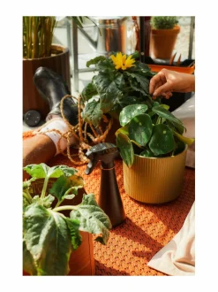 Työkalut|Fiskars Suihkepullo 0,3 l BLACK