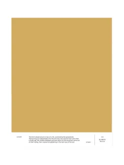 Maalit|Cover Story Sävymalli 032 KAREN - mustard