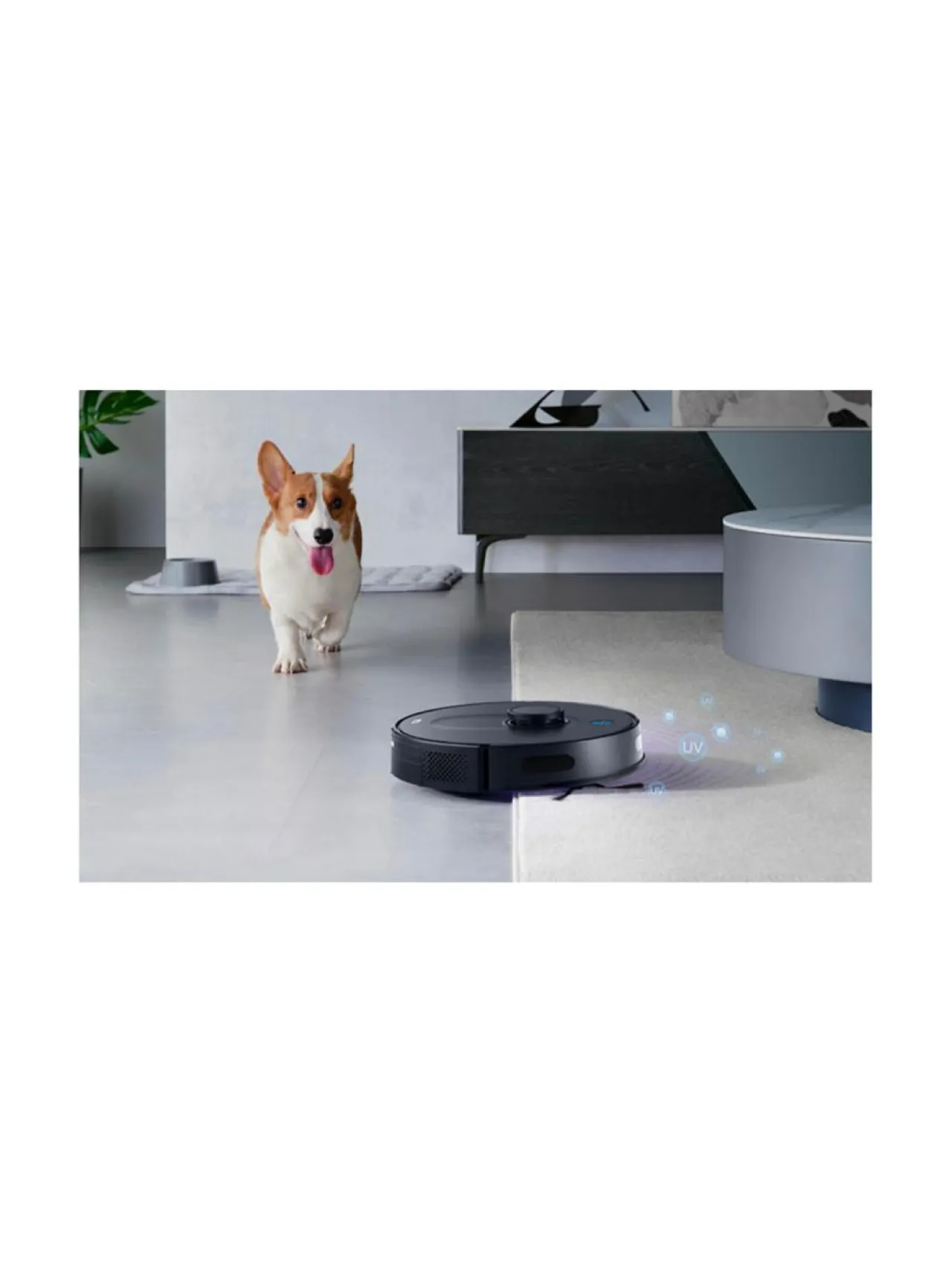 Pölynimurit|TCL Sweeva 6000 Robotti-imuri