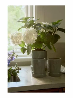 Huovat & Päiväpeitot|Lexington Terrakotta-kasviruukku EUCALYPTUS