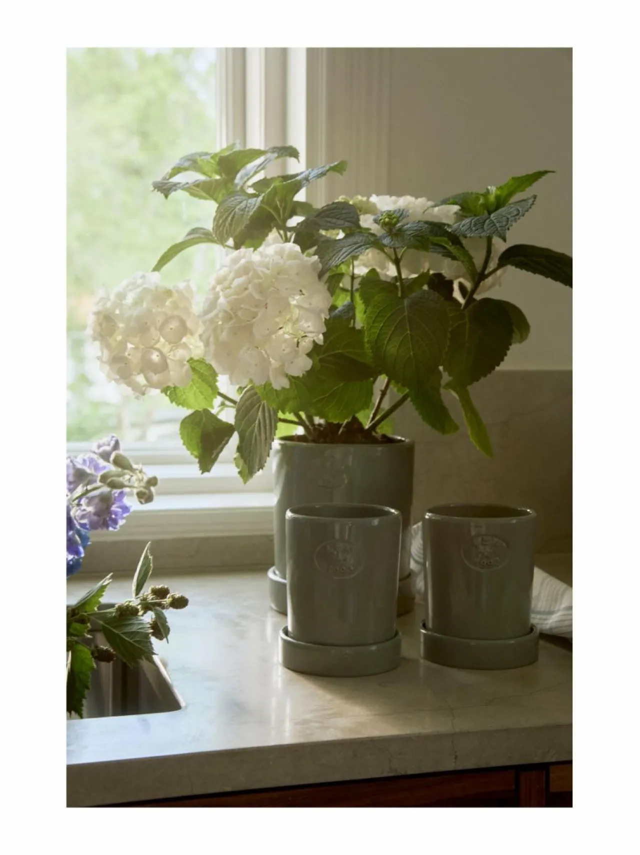 Huovat & Päiväpeitot|Lexington Terrakotta-kasviruukku EUCALYPTUS