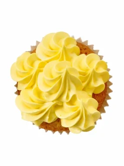 Leivonta|Birkmann Tähtitylla ø 13 mm 06 SILVER