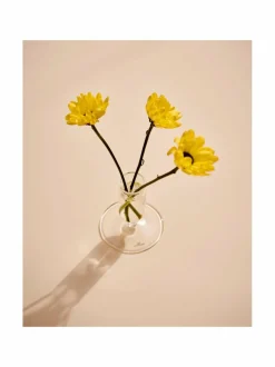 Koriste-Esineet|HAY Tiny-lasimaljakko CLEAR