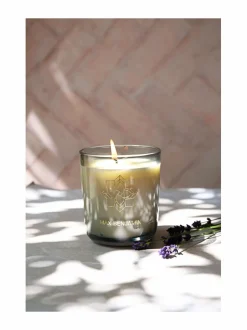 Huonetuoksut & Tuoksukynttilät|Max Benjamin True Lavender -luksuskynttilä kannella 210 g LILAC