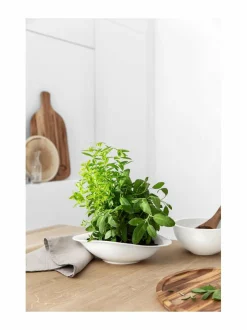 Astiasarjat|Villeroy & Boch Vapiano-pastalautanen 2 kpl VALKOINEN