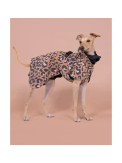 Koiran Vaatteet|PAIKKA Visibility Raincoat Lite Leopard for Dogs