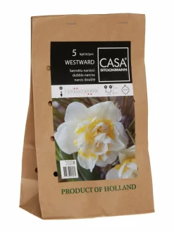 Kukkasipulit & Siemenet|Casa Stockmann Westward-kerrotun narsissin sipulit 5-pack